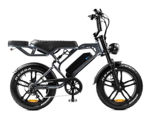 V20 Pro Fatbike | 250W | Dunkelgrau | Elektrisches Fatbike
