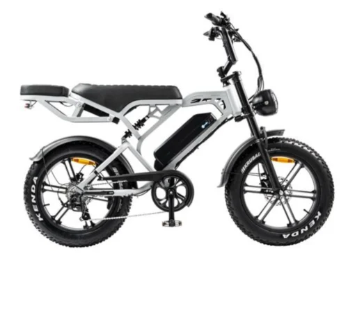 V20 Pro Fatbike | 250W | Hellgrau | Elektrisches Fatbike