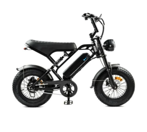 V20 Pro Mini-Fatbike | Schwarz | 250-Watt