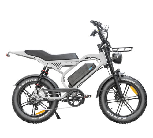 Fatbike S20 Pro | Hellgrau