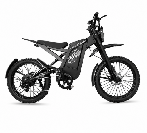 Ouxi GT-2000 | Offroad-Fatbike | Schwarz